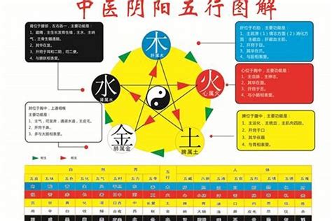 2024年月份五行|2024年五行属性表 2024年五行属金还是水